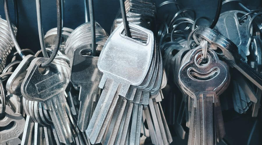 Professional gutter cleaning in Downsville, NY